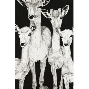 Black and White Deer Art Print